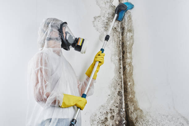 Water Damage Restoration in Heidelberg, TX