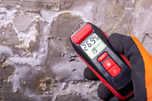 Best Emergency Mold Removal  in Heidelberg, TX